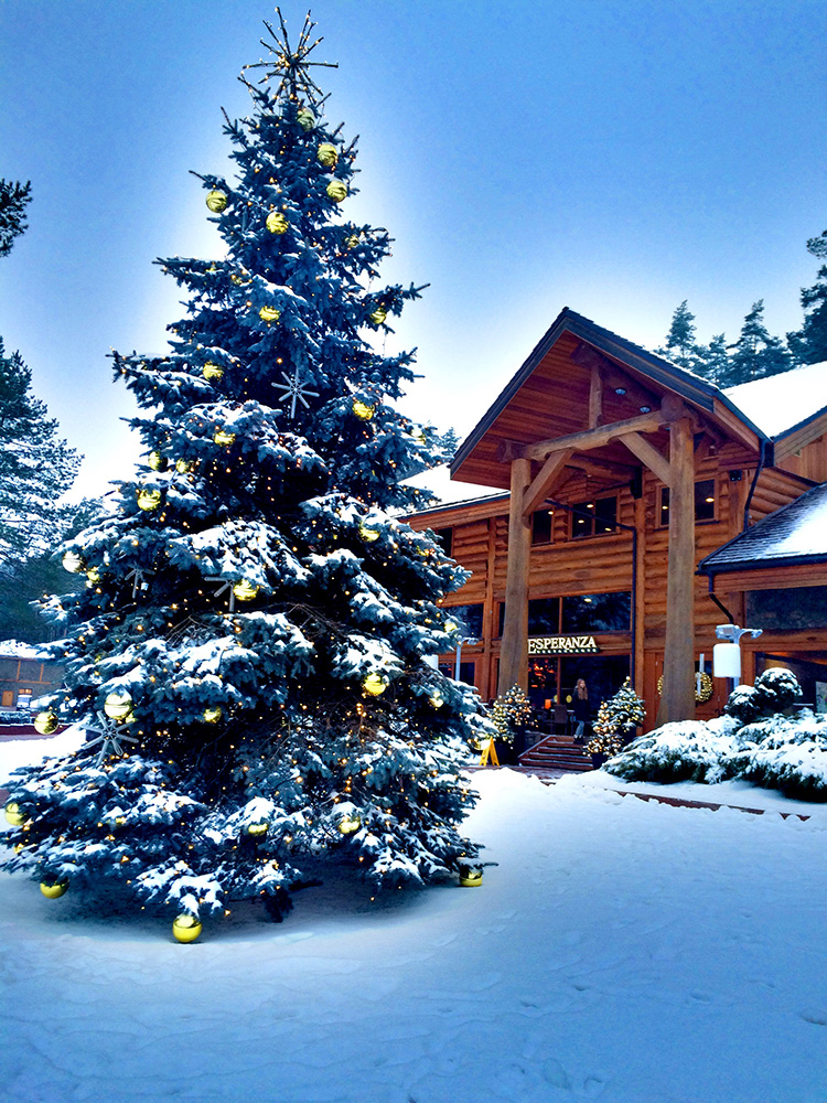 Snowy lodge with decorated Christmas tree, showcasing Gharieni's luxury spa ambiance.