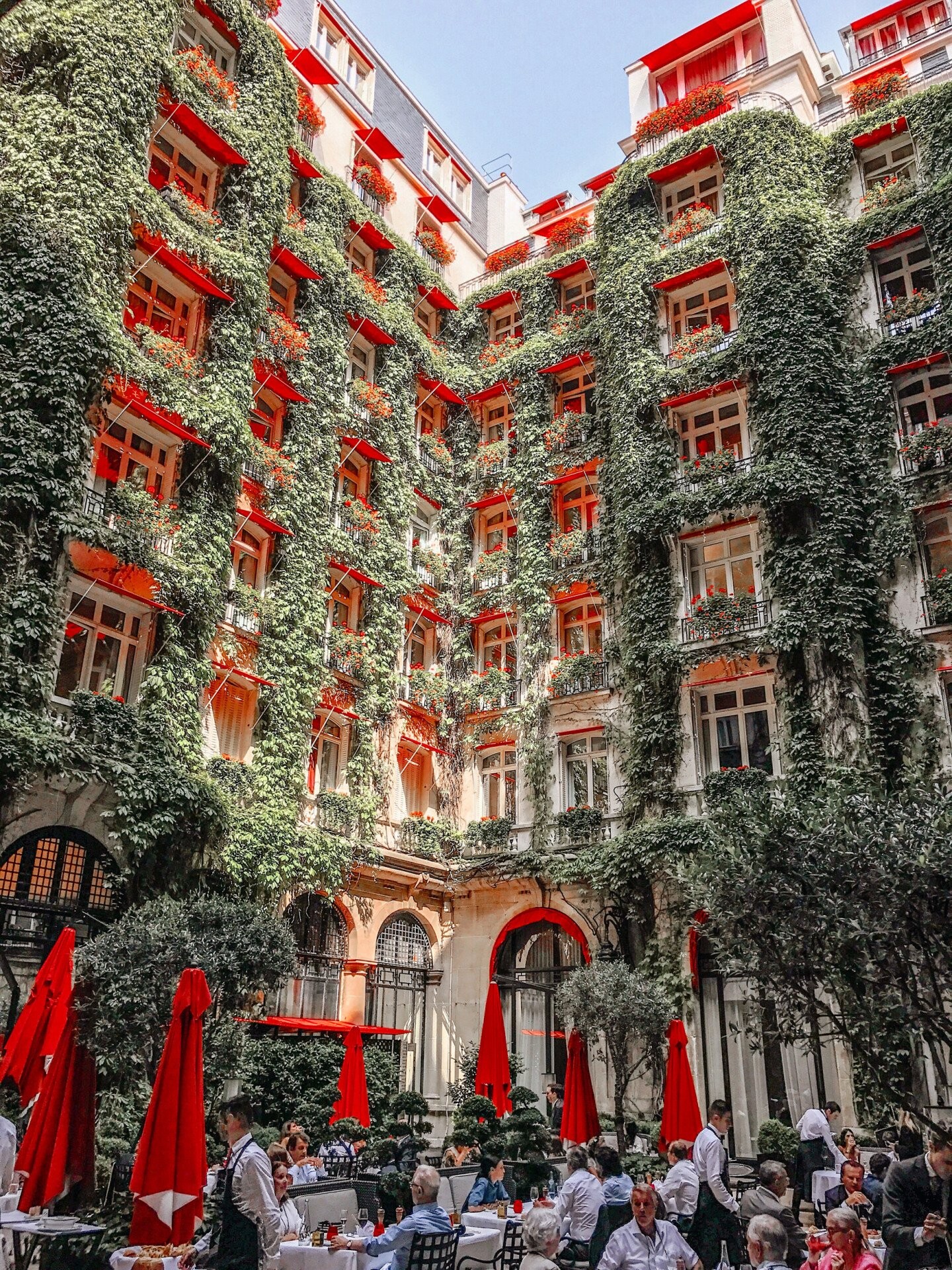 Luxurious ivy-covered courtyard with red accents, elegant dining, and lively ambiance.